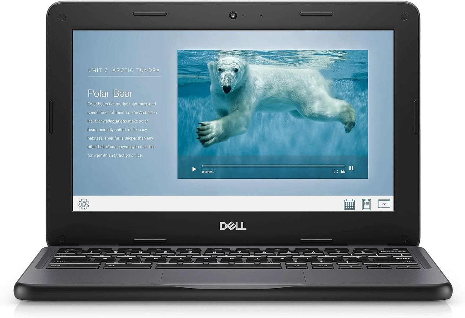 Power & Portability: A Review of the Dell Chromebook 11 3100 Renewed Edition